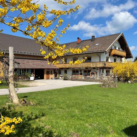 Ferienwohnungen Dopplerhof Piding Exterior photo